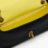 Die Dual Chain Mini Bag Die Dual Chain Mini Bag
