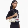 Die Dual Chain Mini Bag Die Dual Chain Mini Bag