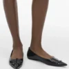 Die Kat Ballerina